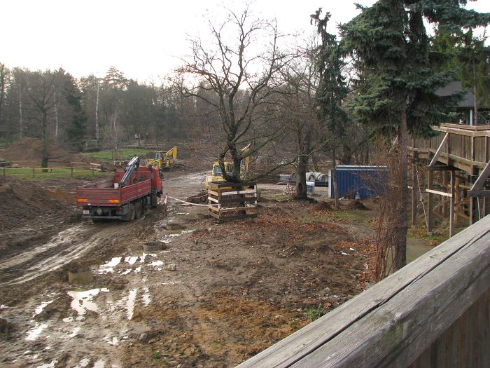 Construction area for new elephant house