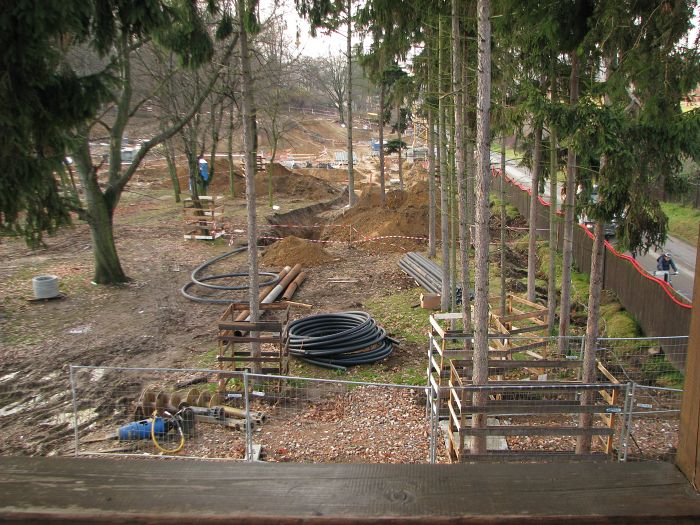 Construction area for new elephant house