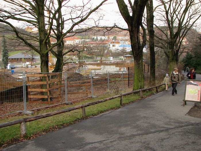 Construction area for new hippo house