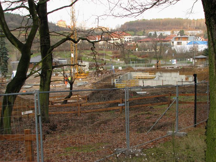 Construction area for new hippo house