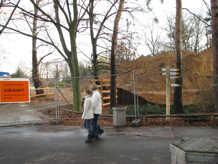 Construction area for new hippo house