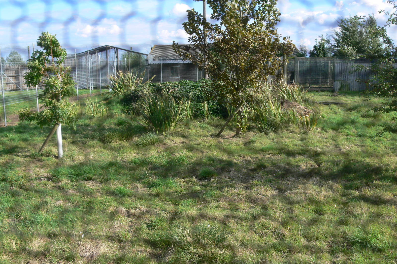 Construction at Hamerton Zoo, 23/08/14