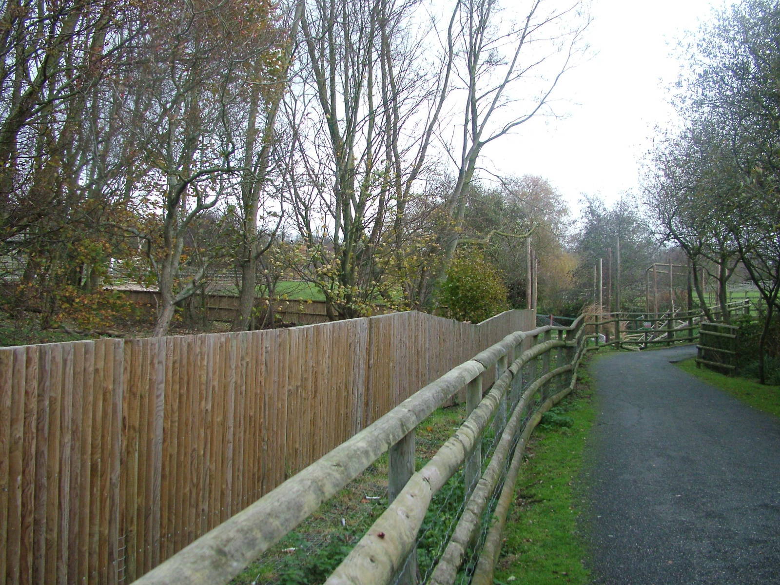 Construction at Port Lympne 27/11/09