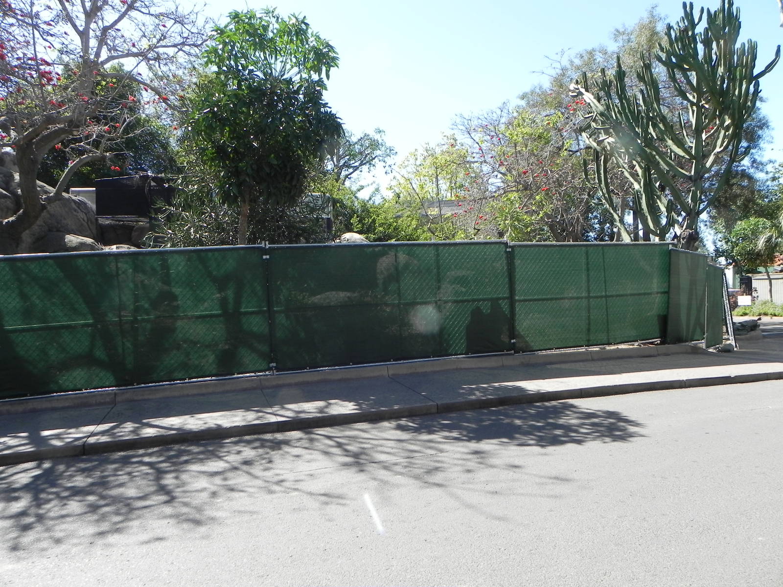 Construction at the zoo