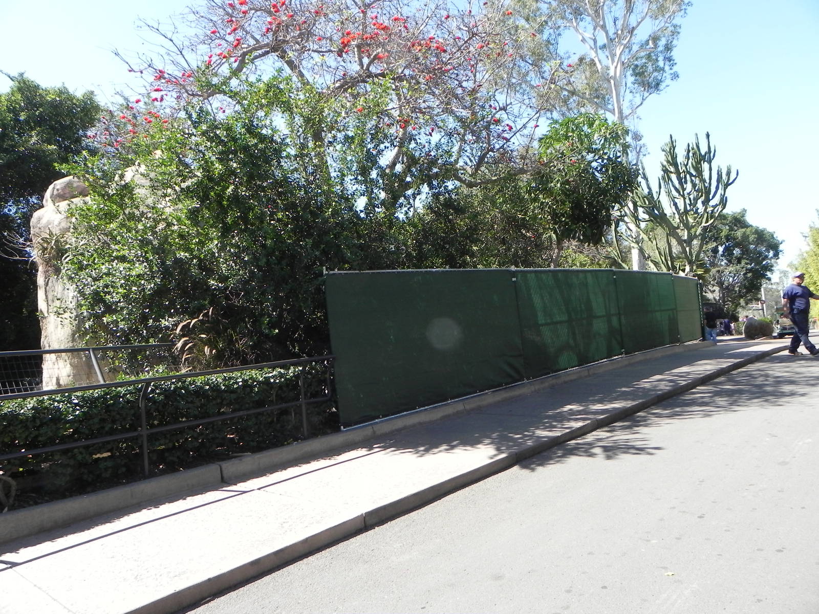 Construction at the zoo