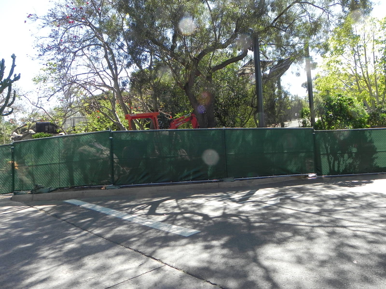 Construction at the zoo