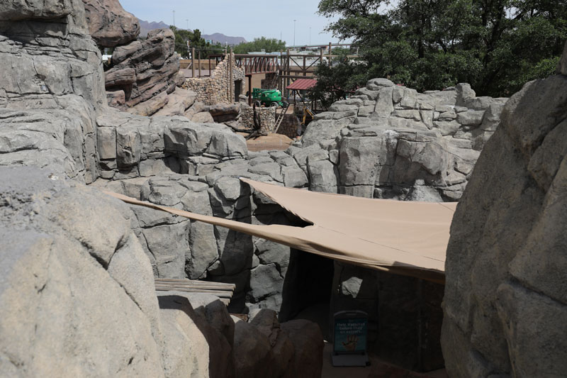 Construction (Chihuahua exhibit)