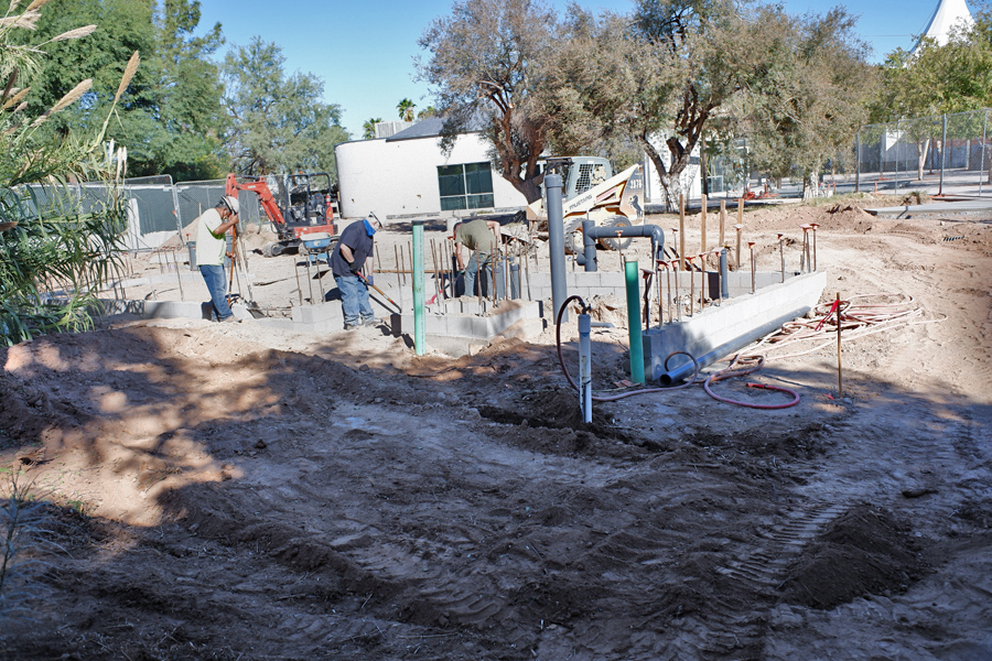 construction chilean flamingo exhibit
