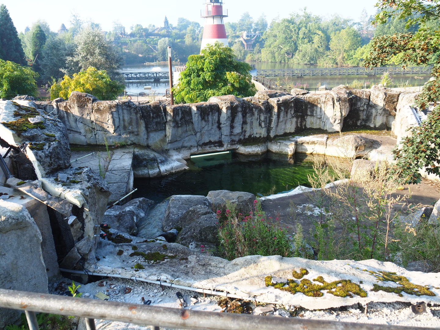 Construction/Demolition on exhibit next to the Cape fur seal exhibit, 2021-09-03