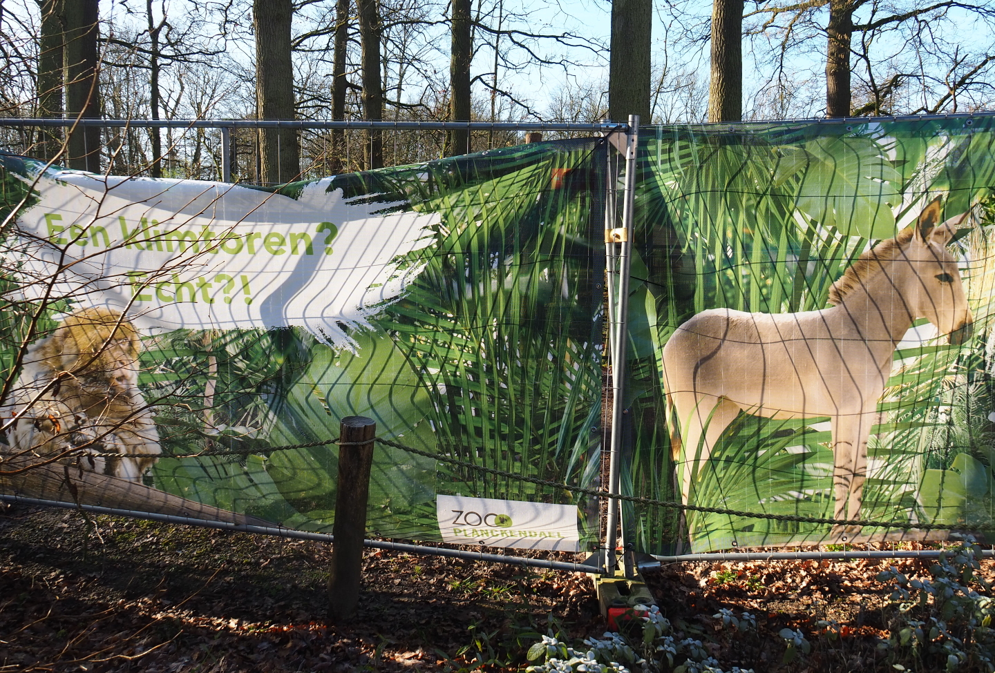 Construction fence banners of ungulate house construction site - announcing future species and playground area?, 2022-02-12