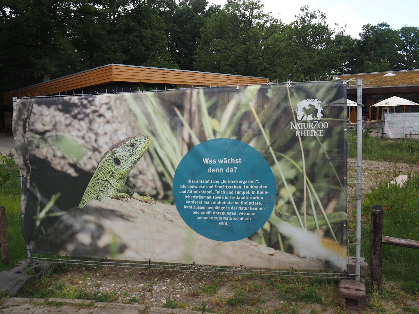 Construction fence signage about the nature exploration garden with outdoor native herp terrariums being constructed, 2025-05-22
