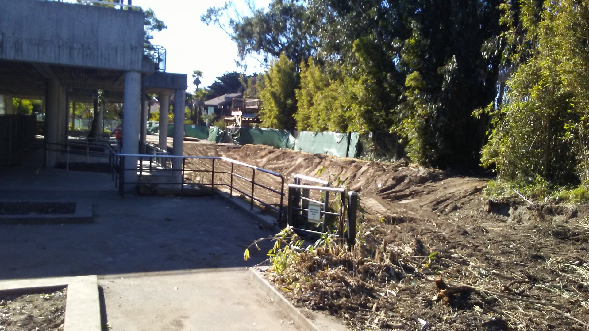 Construction for new Madagascar exhibit