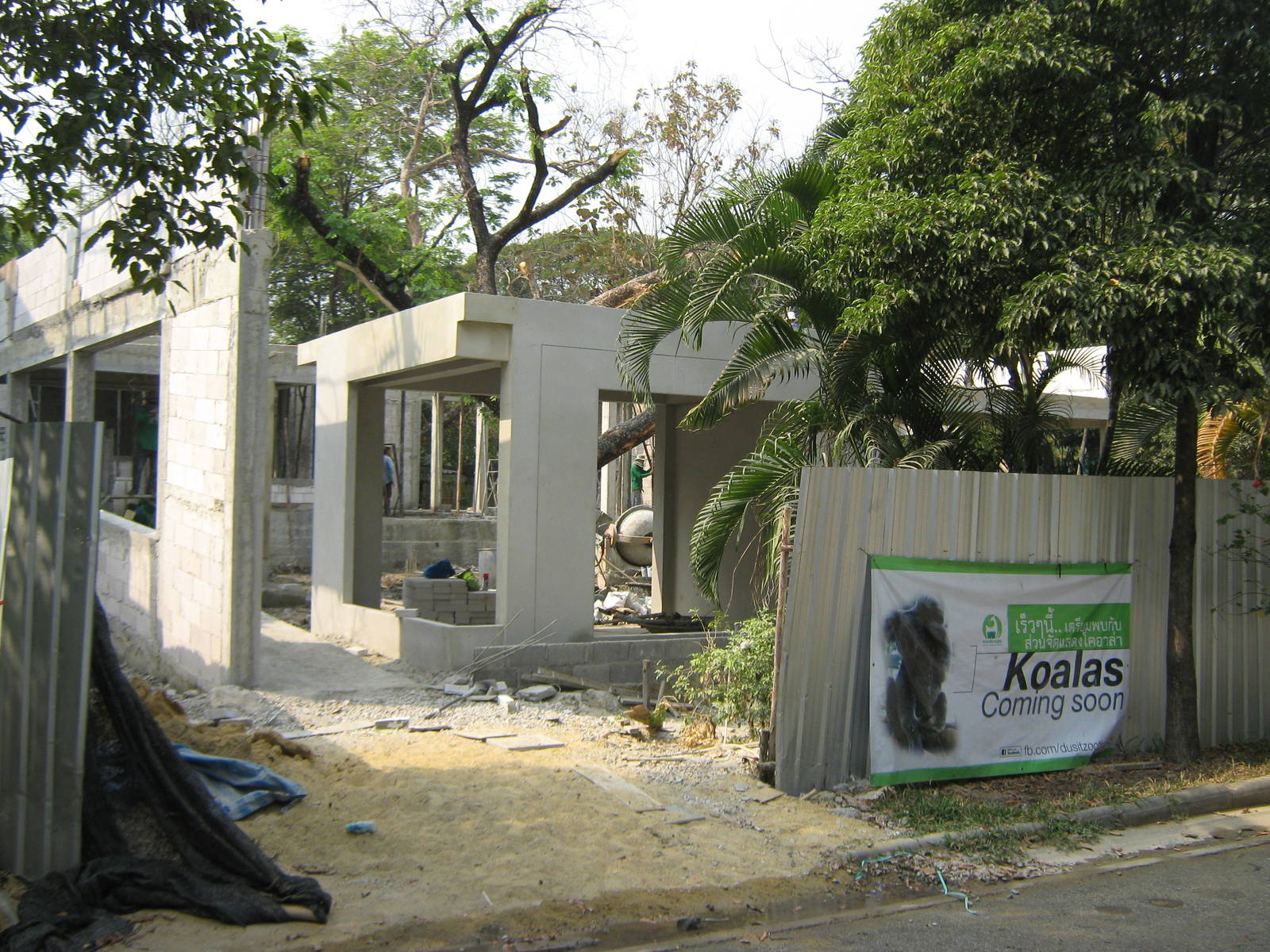 construction for the koala area