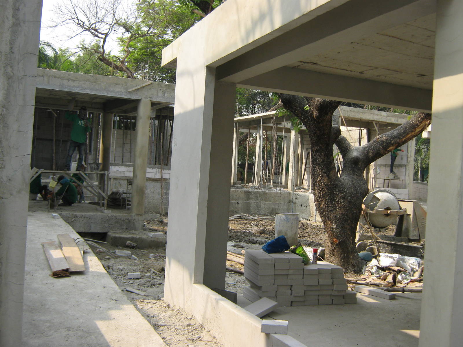 construction for the koala area