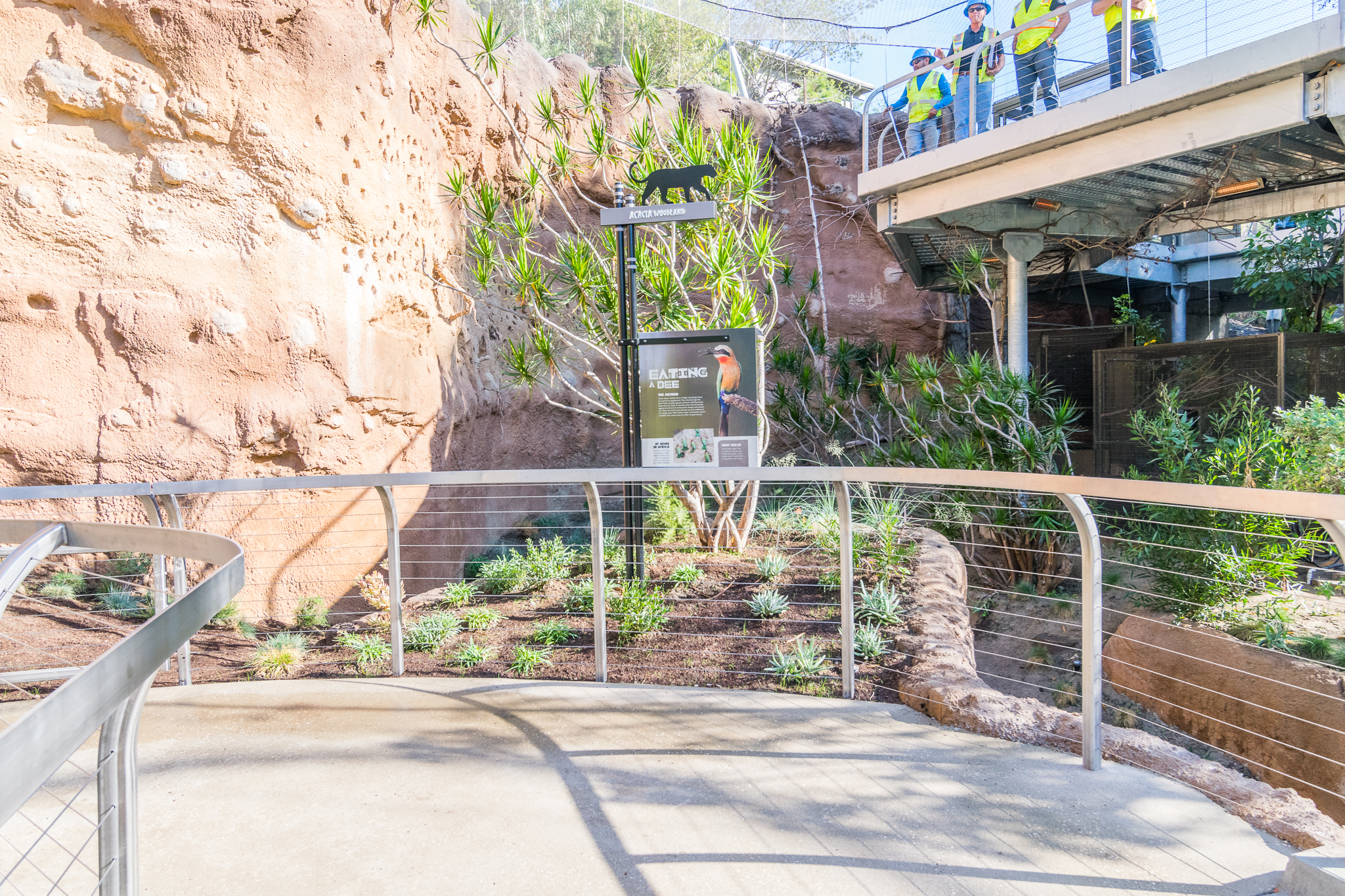 Construction guys inside aviary.