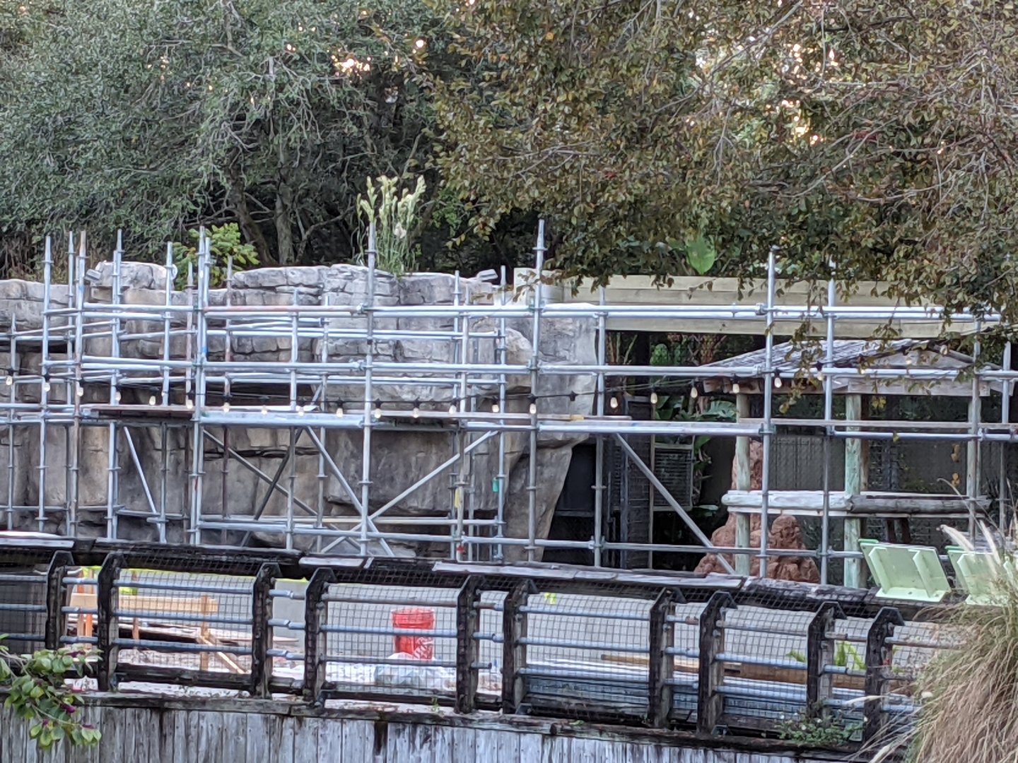 Construction in Primate World