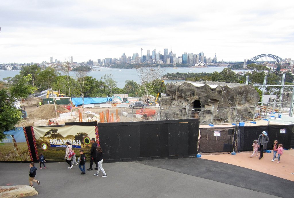 Construction in the giraffe yards