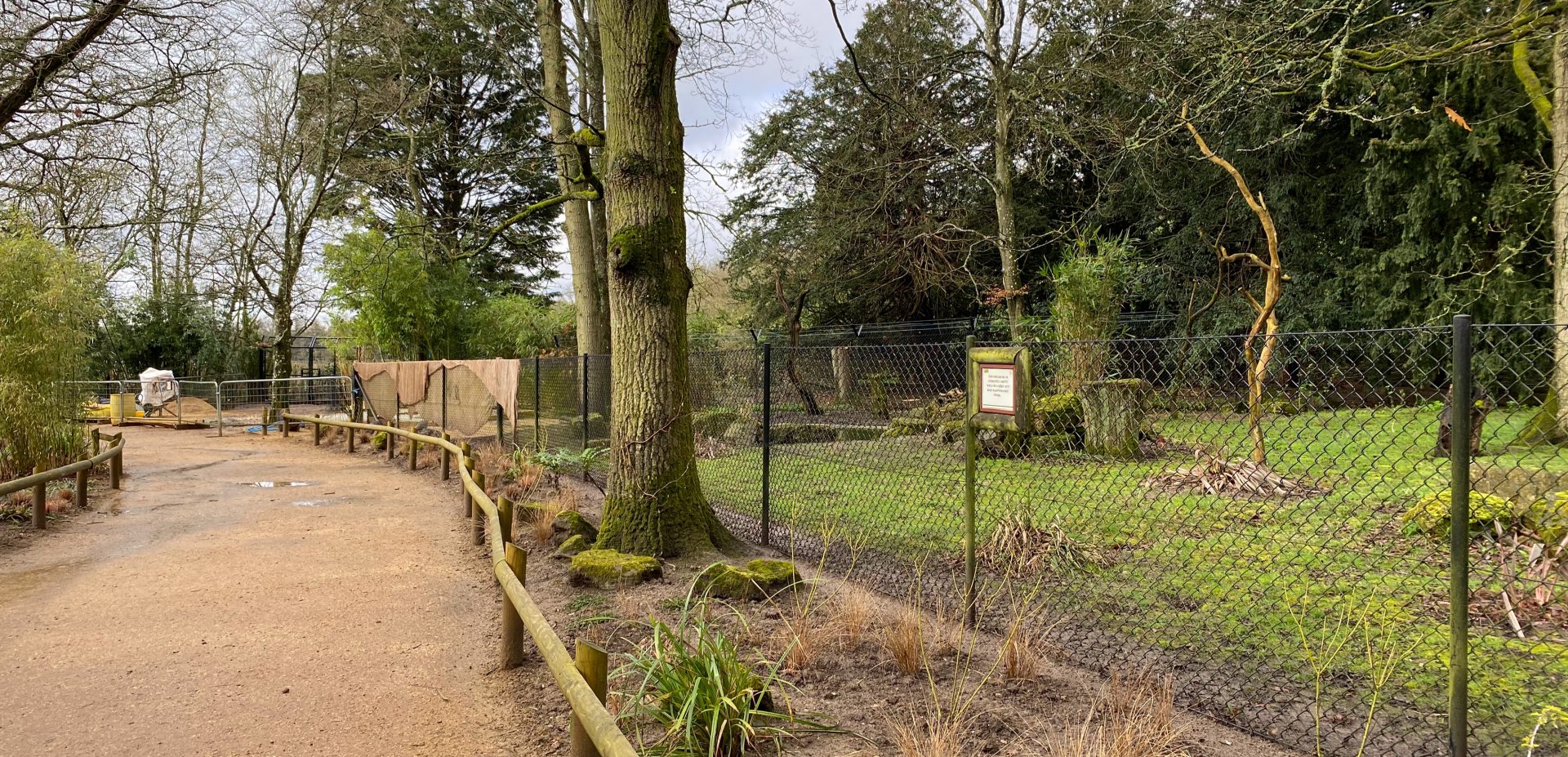 Construction in the second Anteater enclosure, CWP, UK