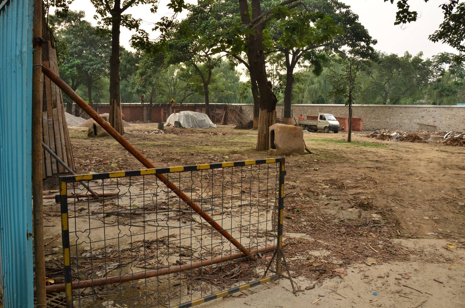 Construction in the ungulate area