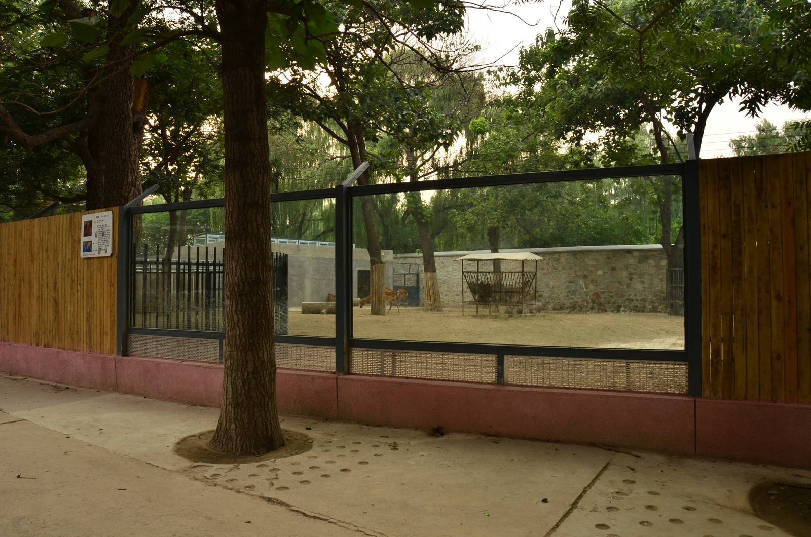 Construction in ungulate area