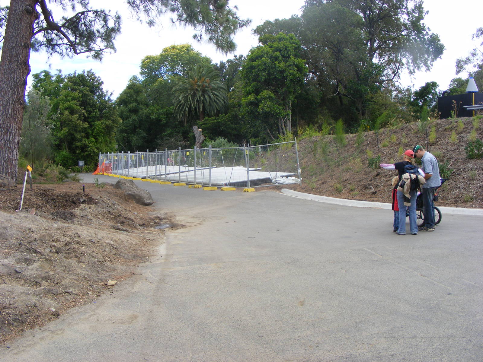 Construction - January, 2010