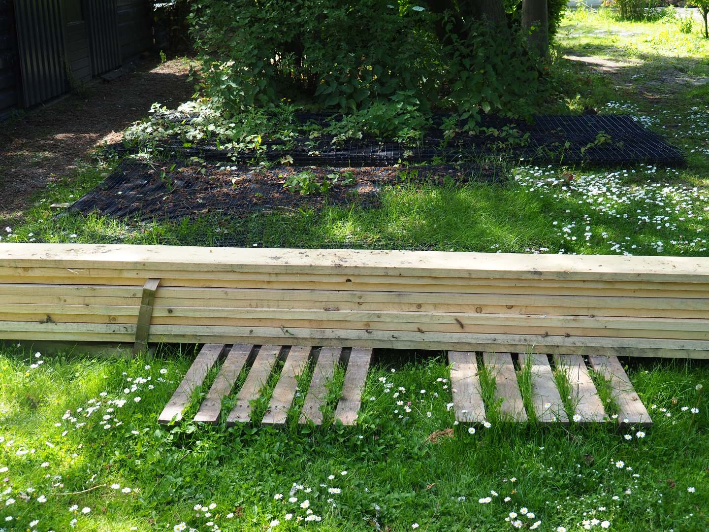 Construction materials for new exhibits, 2019-06-01