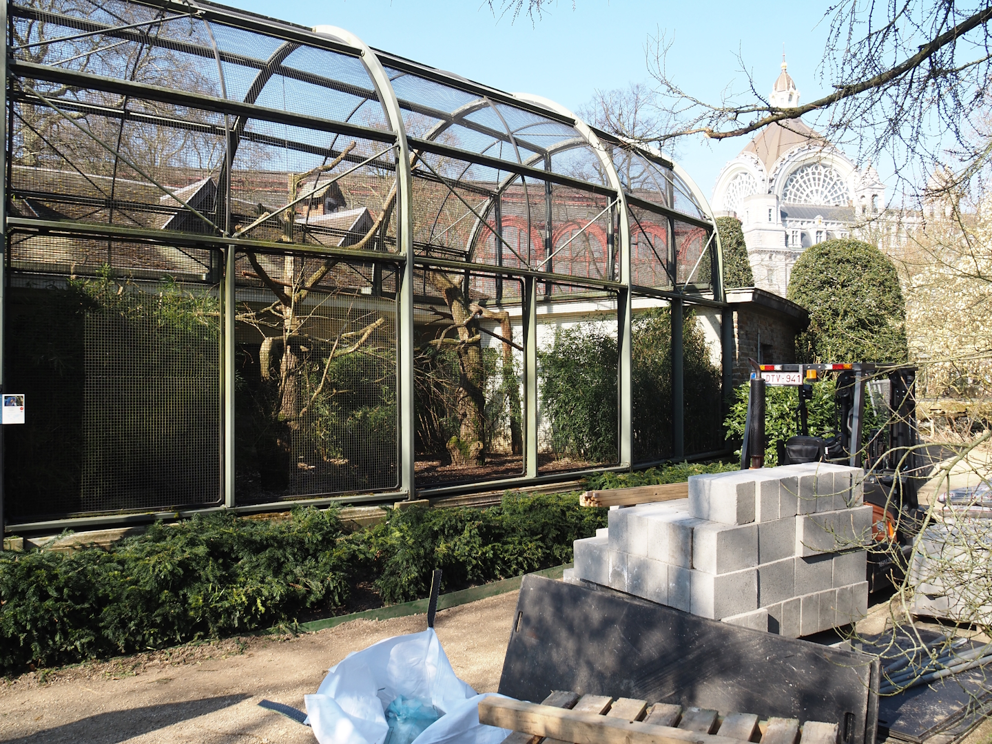 Construction materials next to Hyacinthine macaw aviary, 2025-03-16