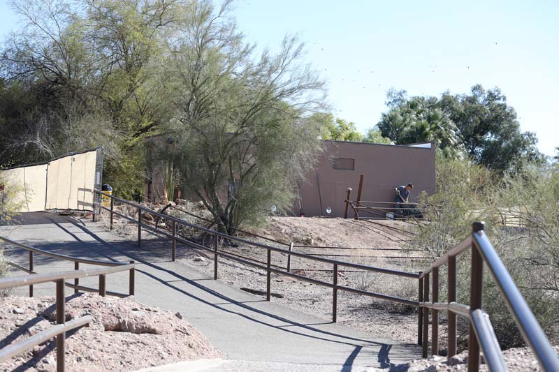 construction new Galapagos tortoise exhibit
