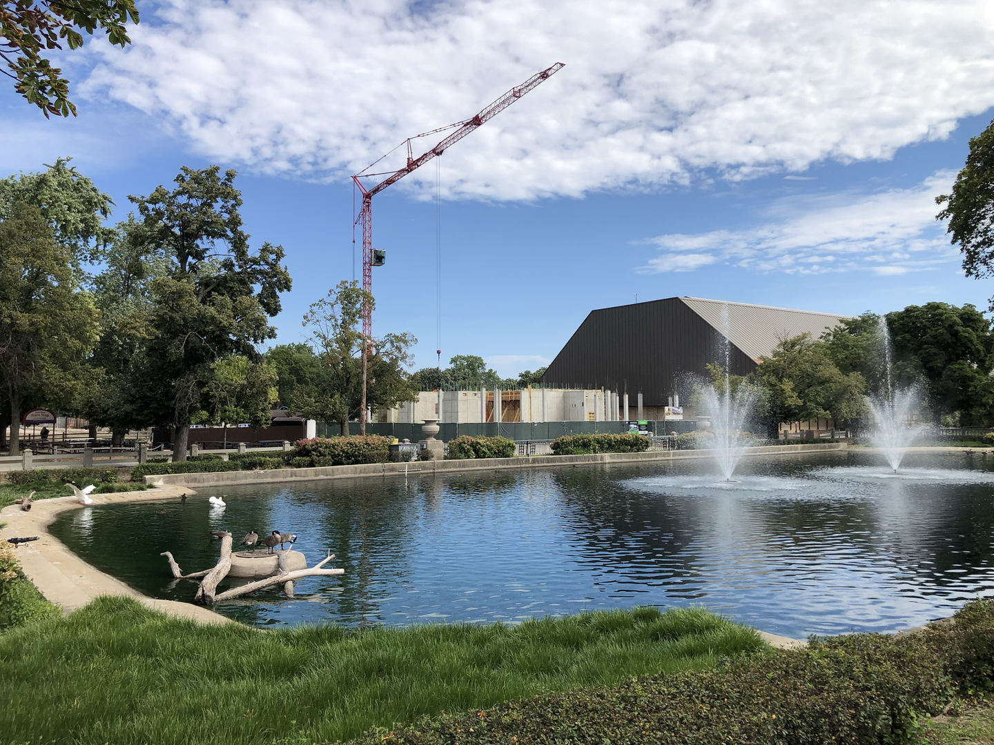 Construction- new gorilla building