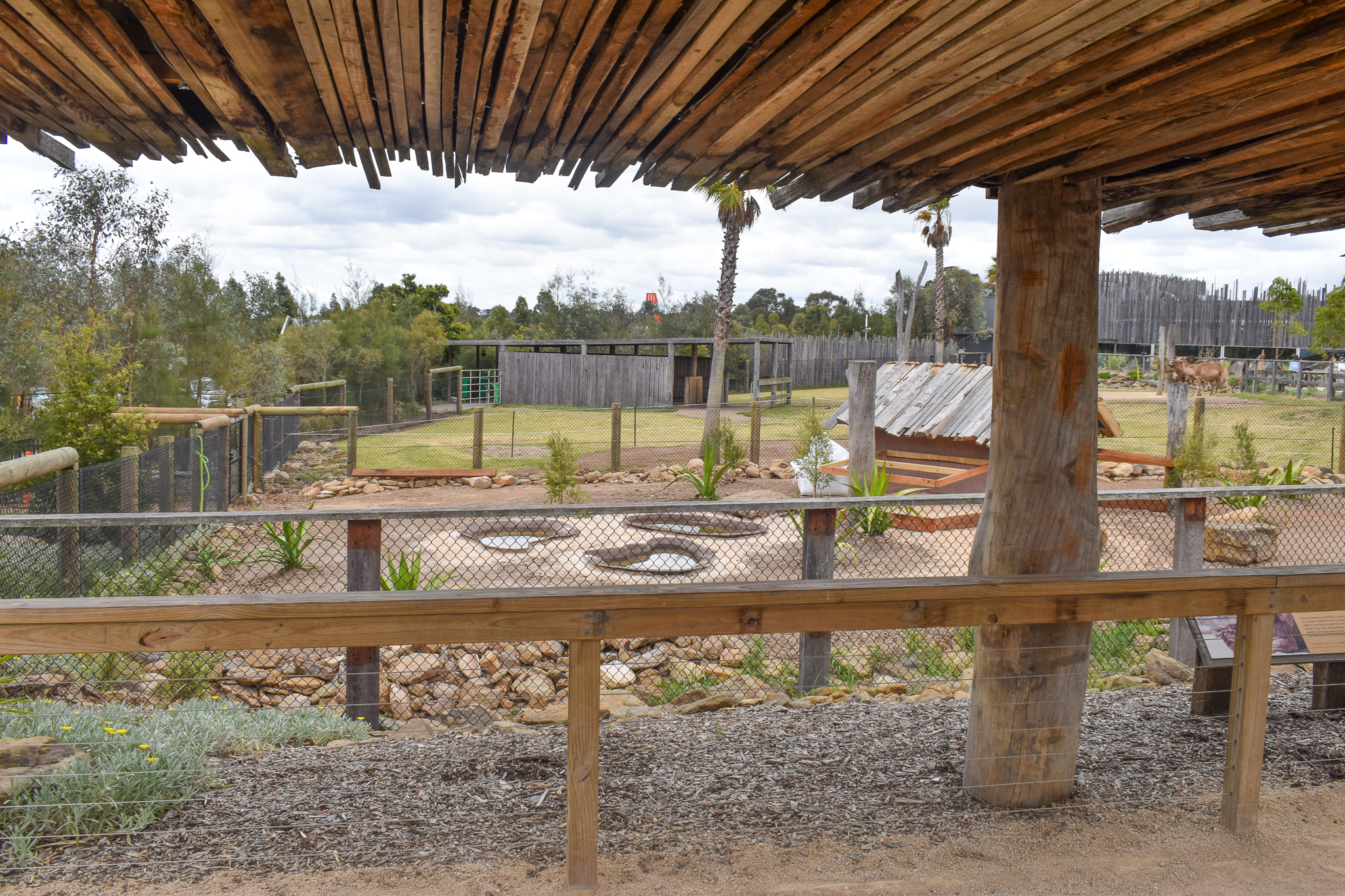 Construction occuring near Dromedaries