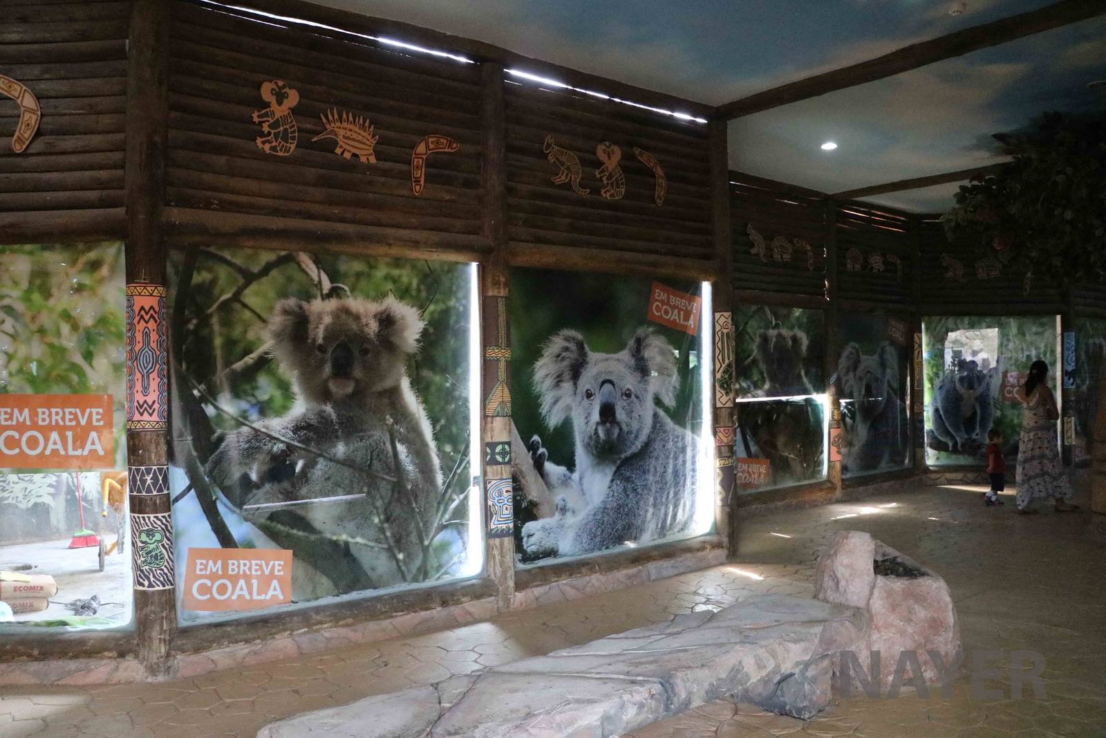Construction of a koala exhibit, April 2016
