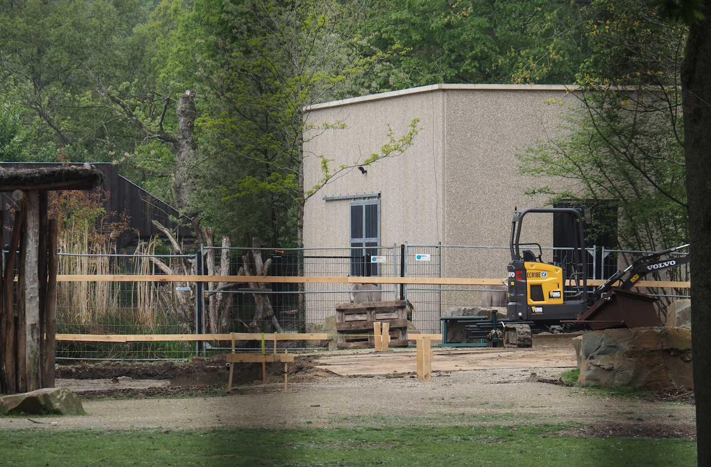 Construction of a new stable for red river hogs between Mountain bongo and Somali wild donkey paddocks, 2025-04-26