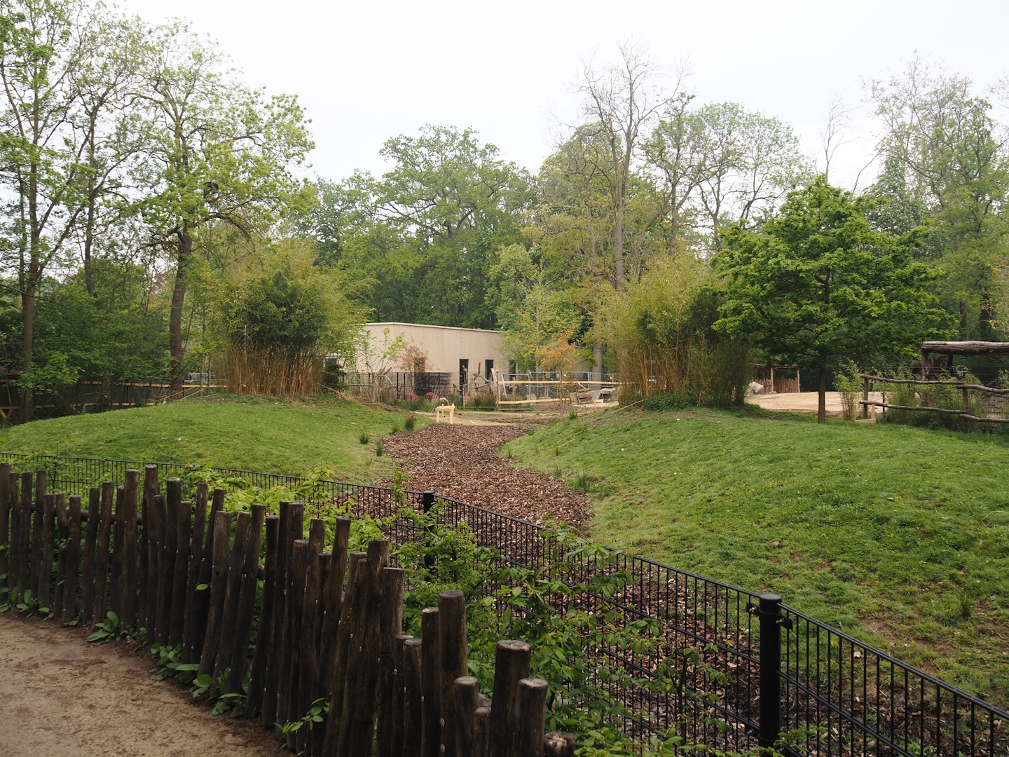 Construction of a new stable for red river hogs between Mountain bongo and Somali wild donkey paddocks, 2025-04-26