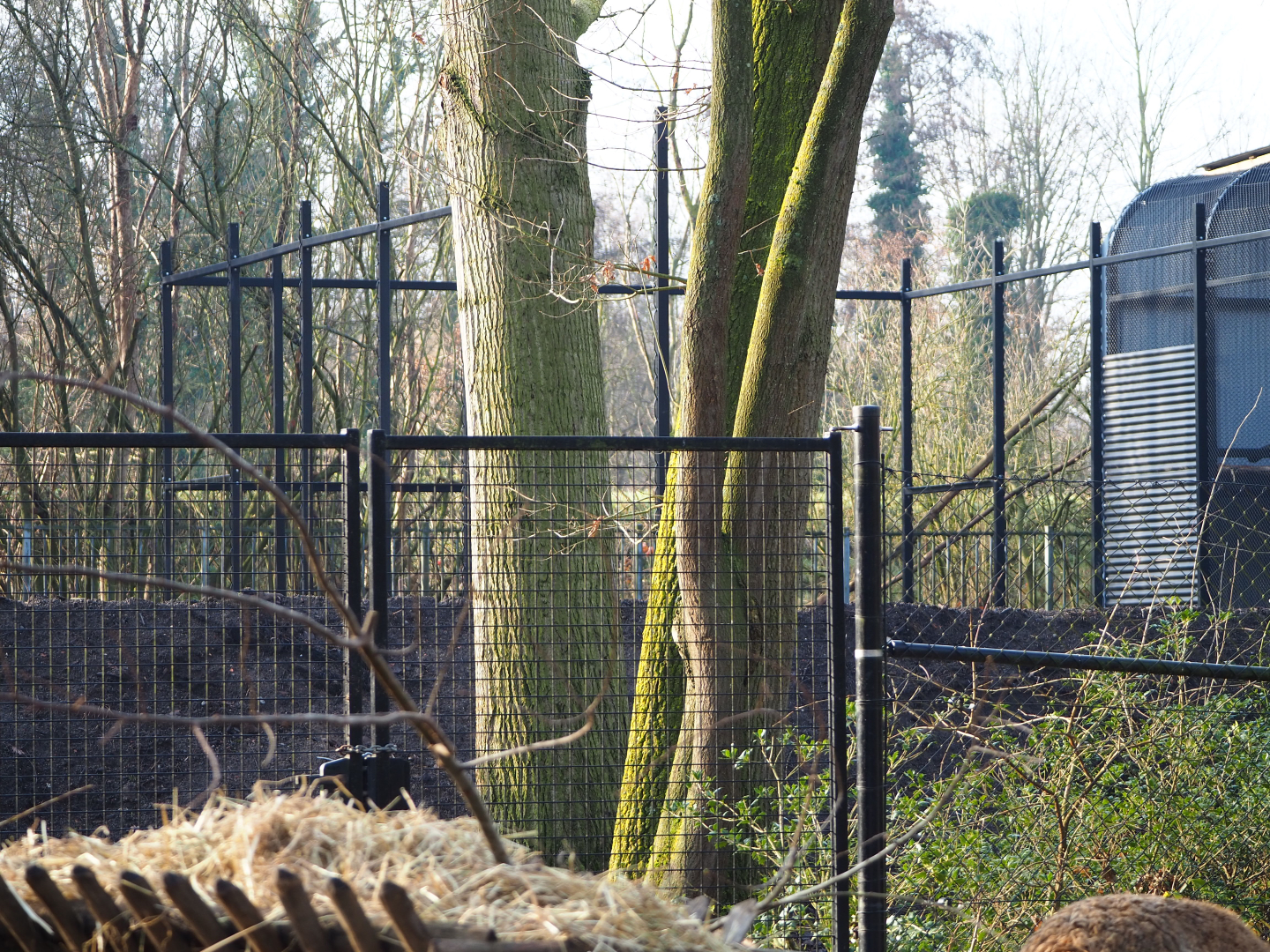 Construction of another behind the scenes aviary, 2019-12-28