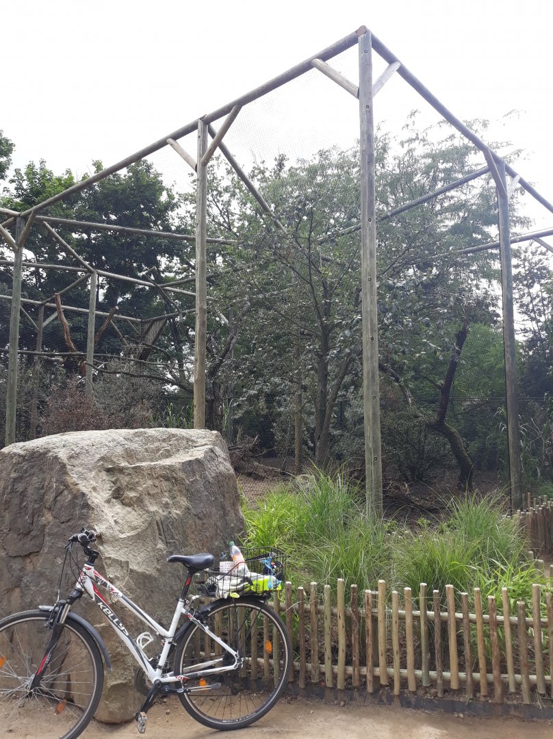Construction of Crowned hawk-eagle's aviary