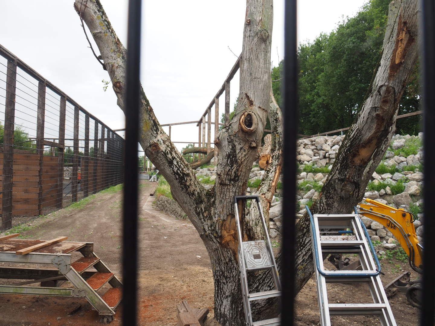 Construction of future mountain area, 2022-05-17