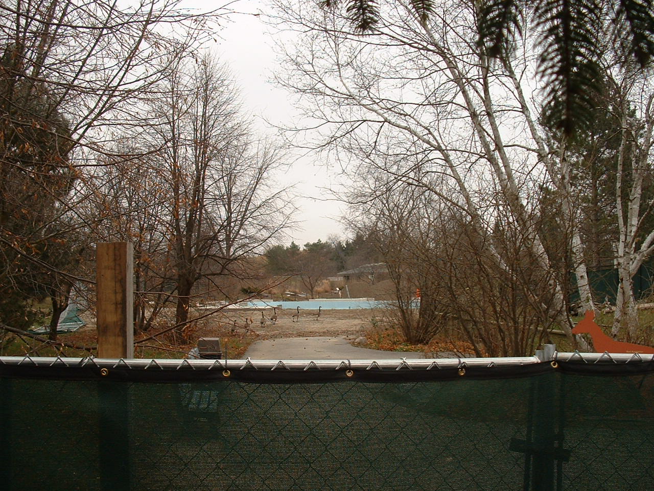 Construction of Giant Panda Enclosures - Nov 2012