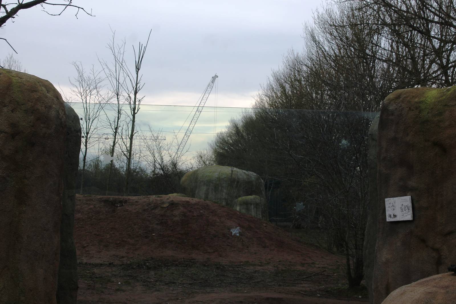 Construction of Islands Chester Zoo 8 March 2014