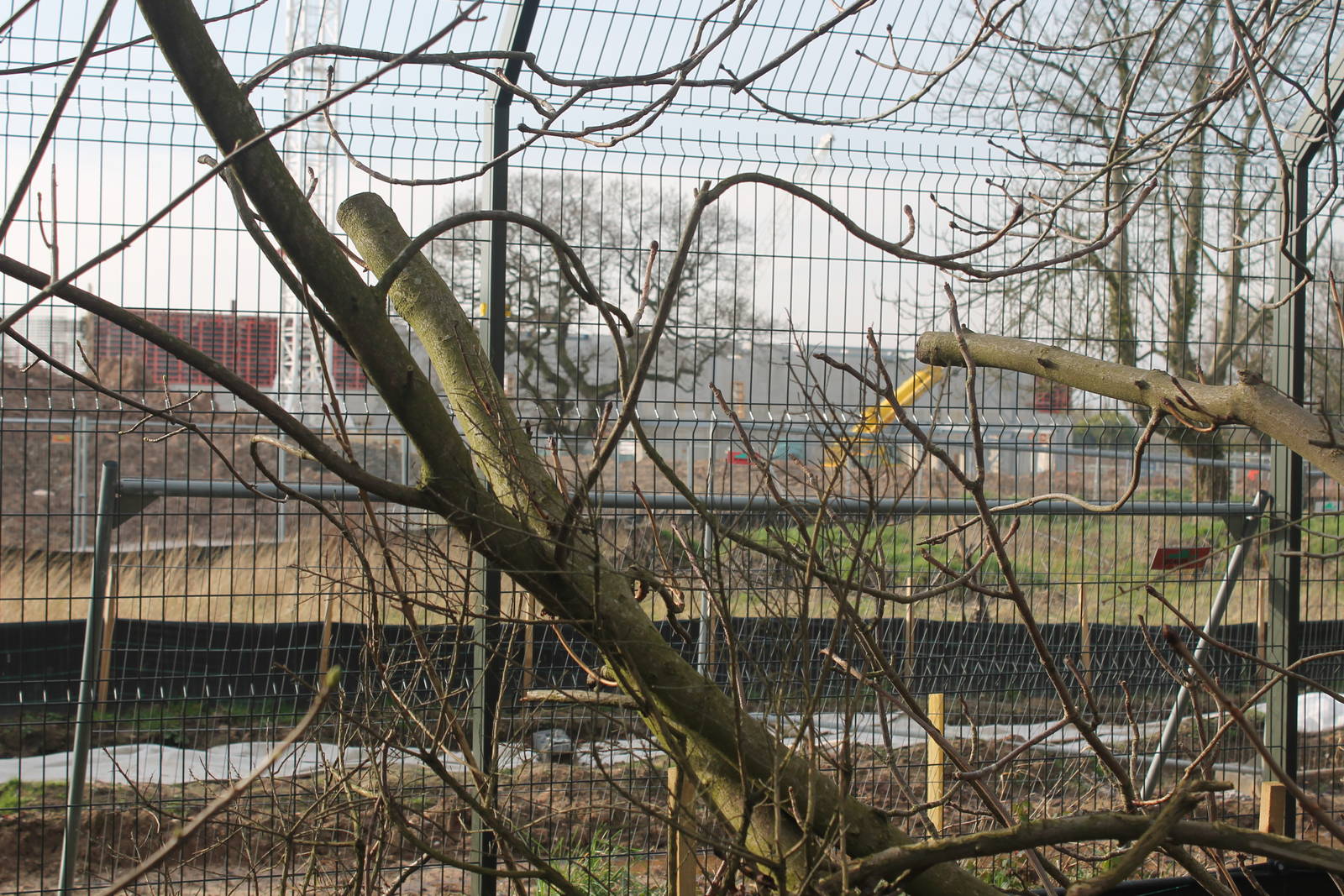 Construction of Islands Chester Zoo 8 March 2014