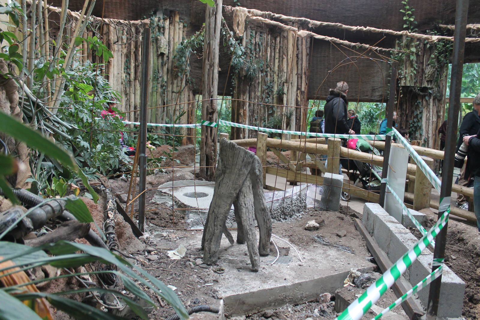 Construction of leaf-cutter ant exhibit Chester Zoo 8 March 2014