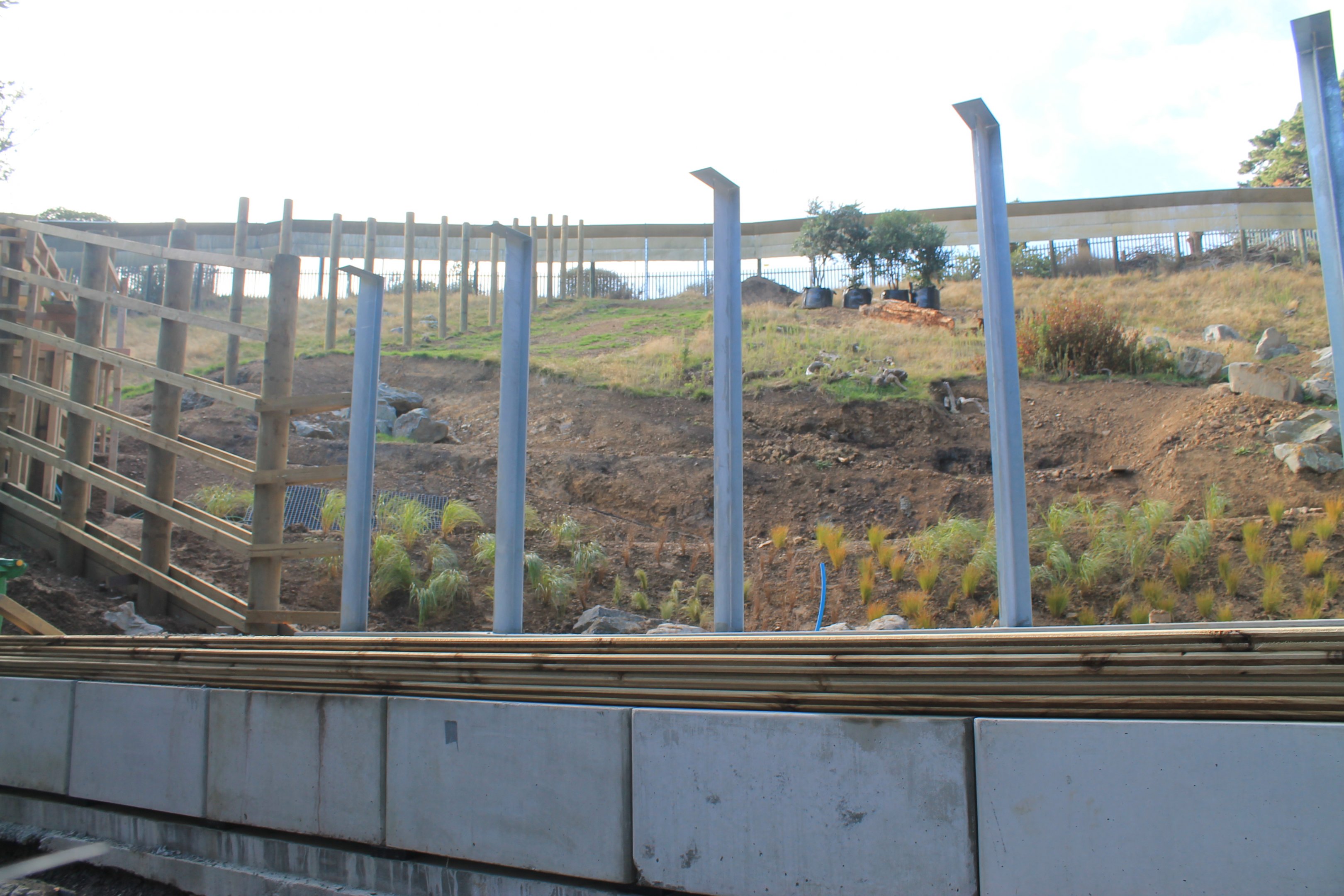Construction of lemur enclosure