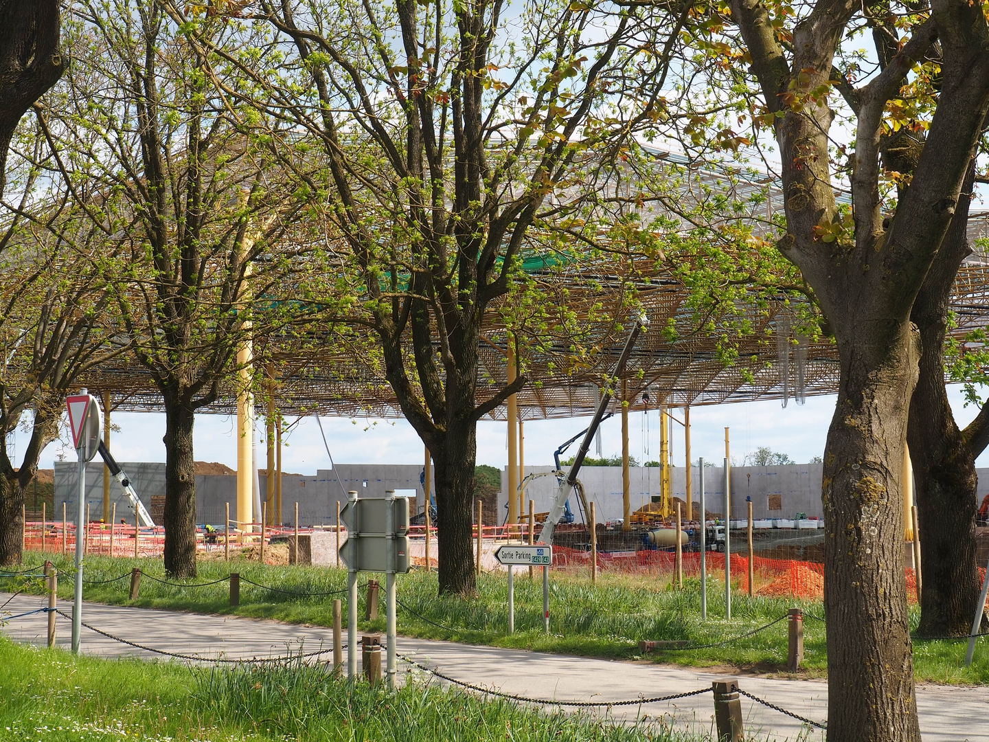 Construction of massive tropical hall The Sanctuary, 2023-05-16