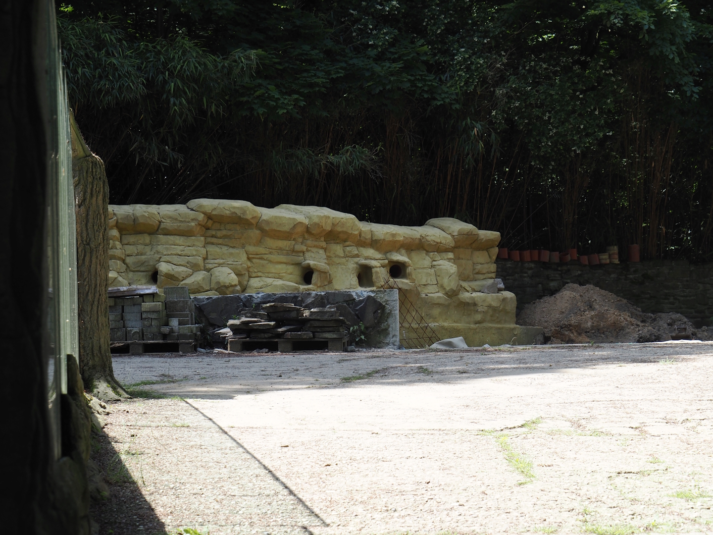 Construction of new African penguin exhibit (Since finished and recently opened), 2024-06-08