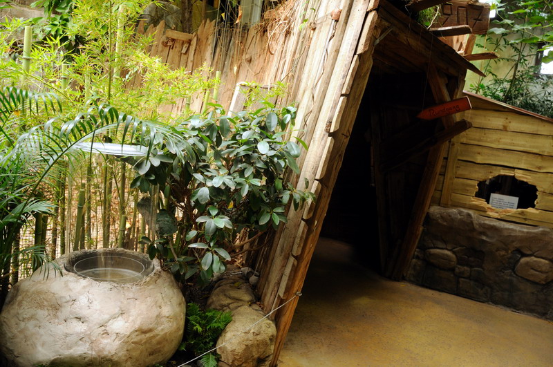 Construction of new ant-enclosure at Hamburg