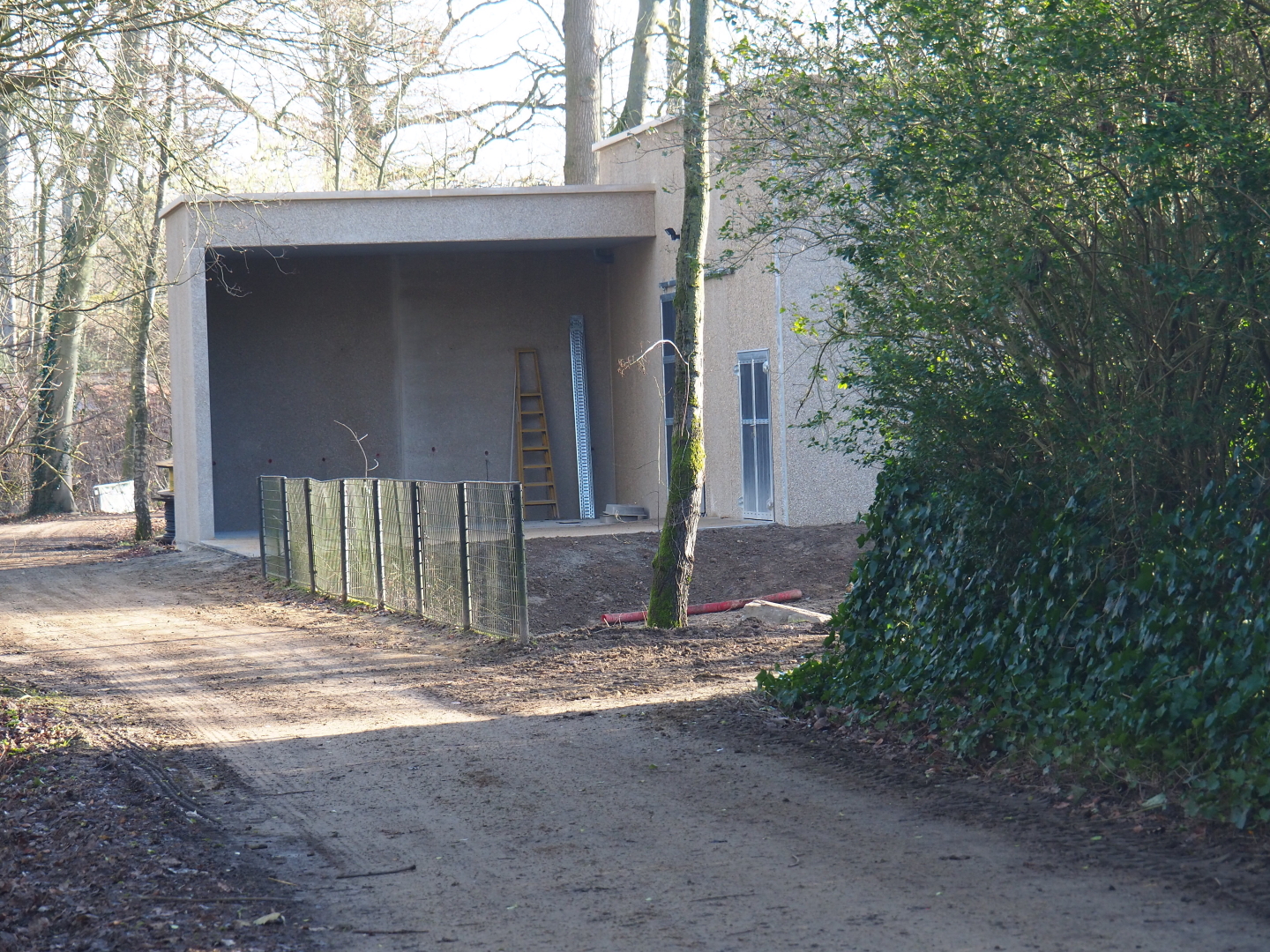 Construction of new antelope house, seen near the cheetahs, 2022-01-30