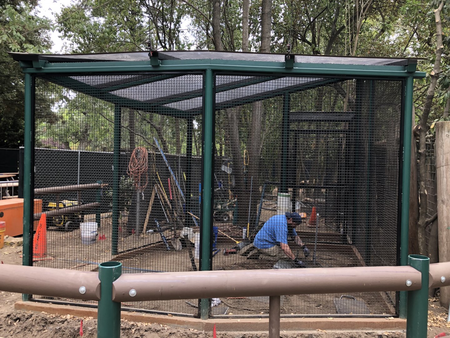 Construction of new aviary