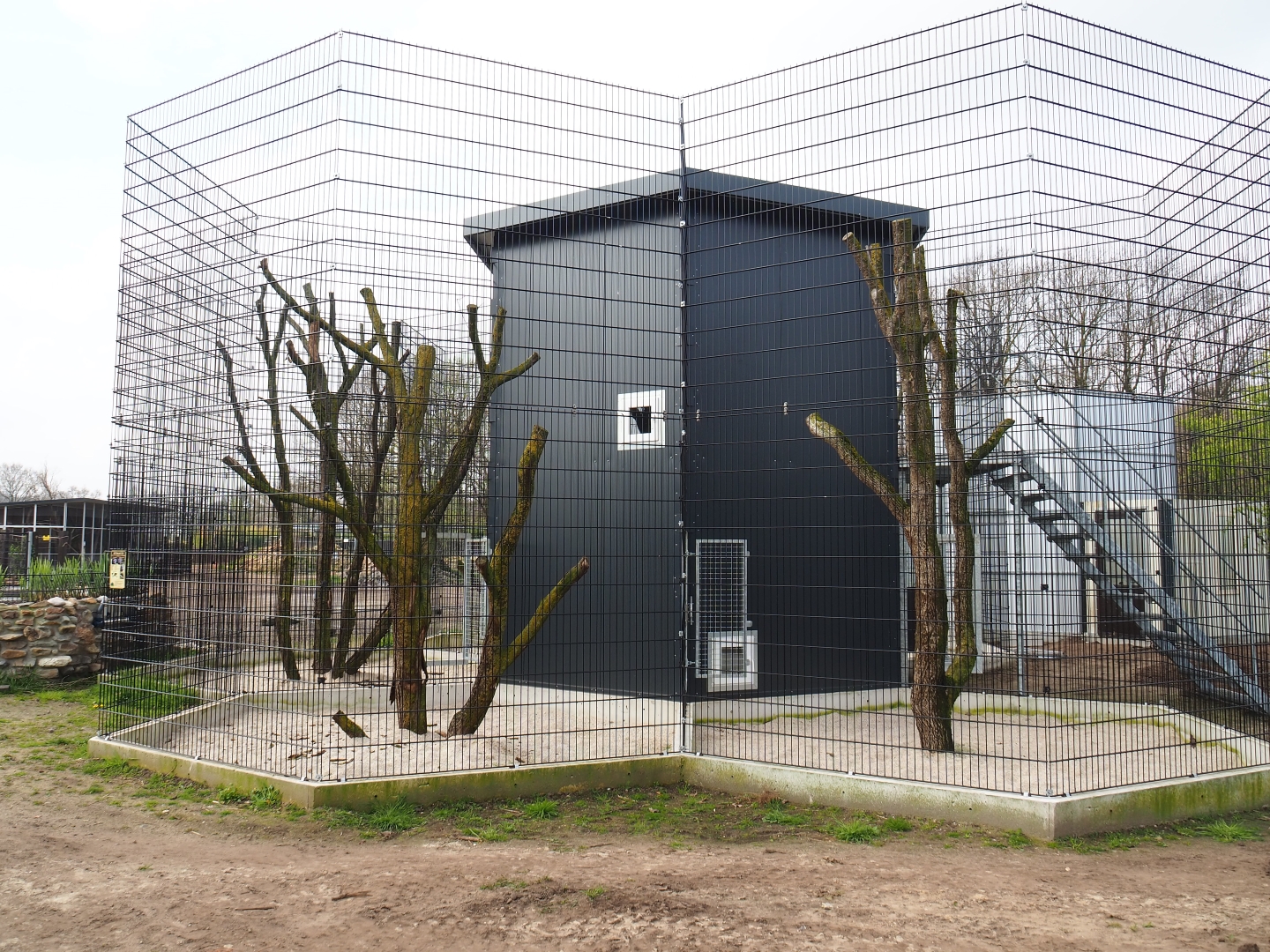 Construction of new binturong exhibit, 2019-04-06