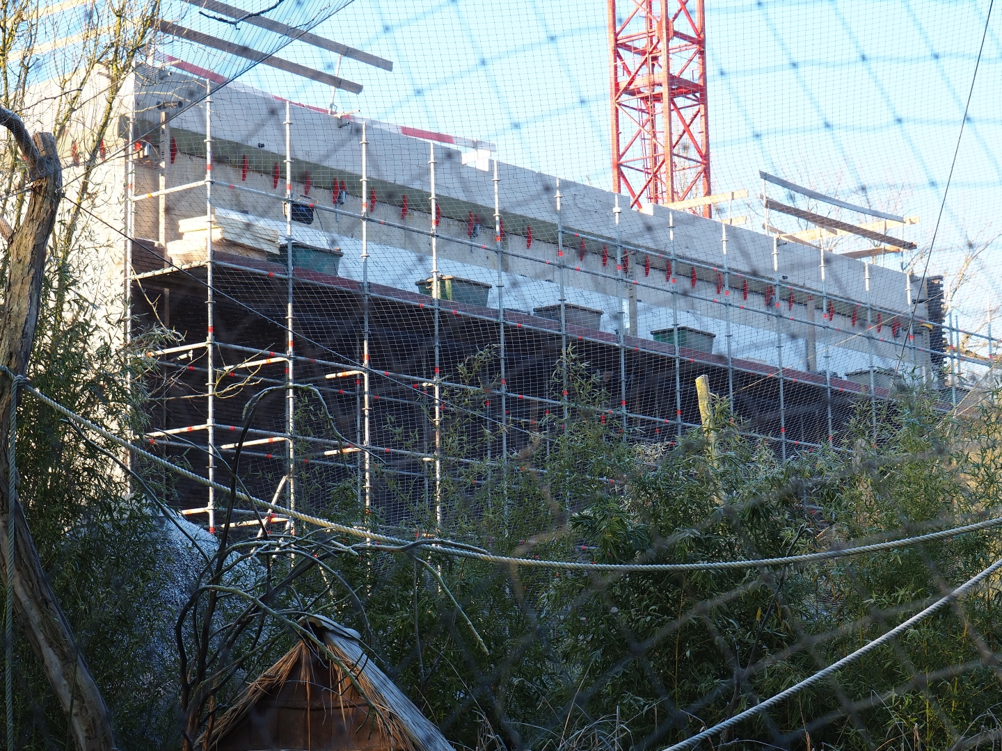 Construction of new bonobo building (Jan 20th, 2019)