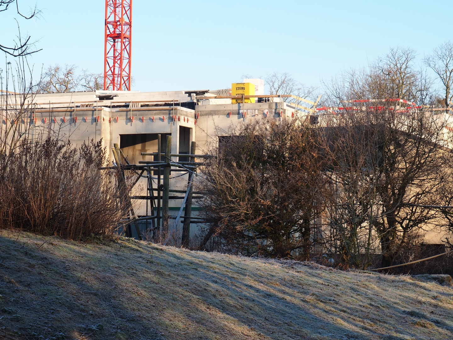 Construction of new bonobo house (Jan 20th, 2019)
