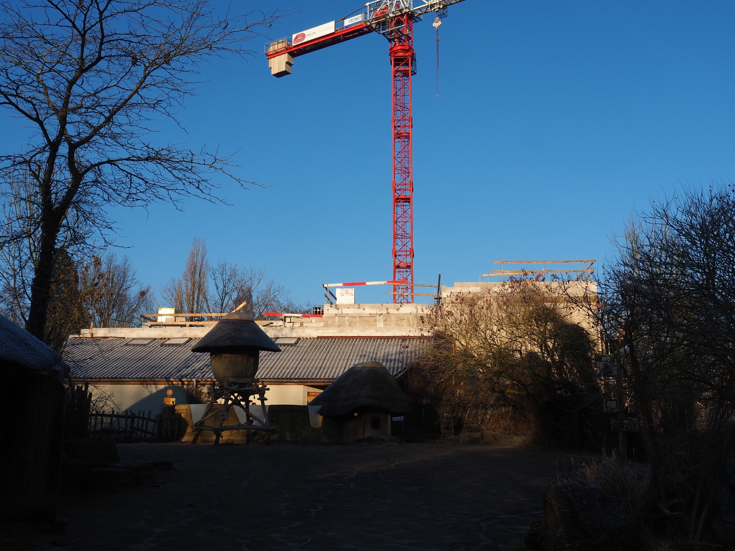 Construction of new bonobo house (Jan 20th, 2019)